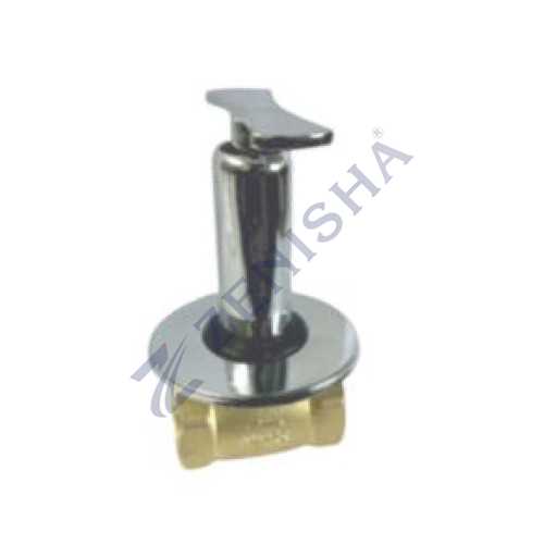 Flush Valve With Flange